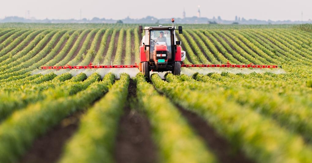 Financement des agriculteurs et des entreprises locales à Tataouine