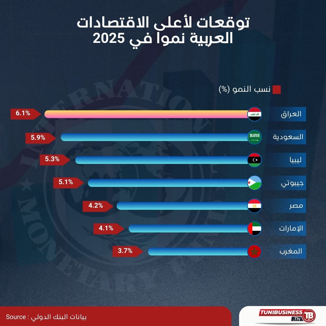 Prévisions de croissance économique pour les principales économies arabes en 2025