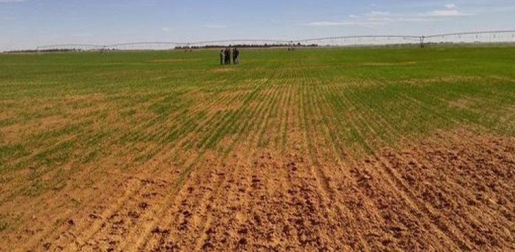 les terres agricoles