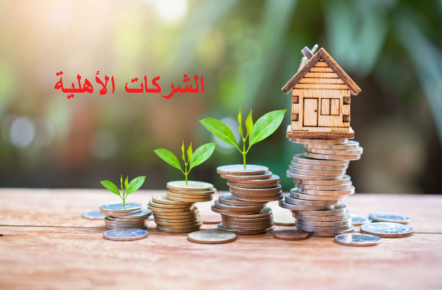 ايام تحسيسية لاحداث الشركات الاهلية