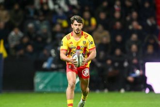 Challenge Cup : Les compositions de Cheetahs – Perpignan : Schalk Ferreira débute à 40 ans, Job Poulet titulaire