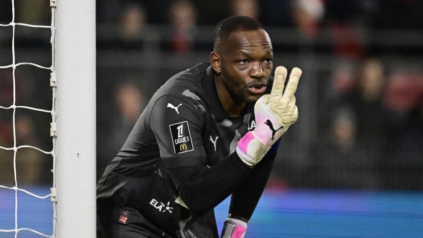 Stade Rennais : la terrible soirée de Steve Mandanda