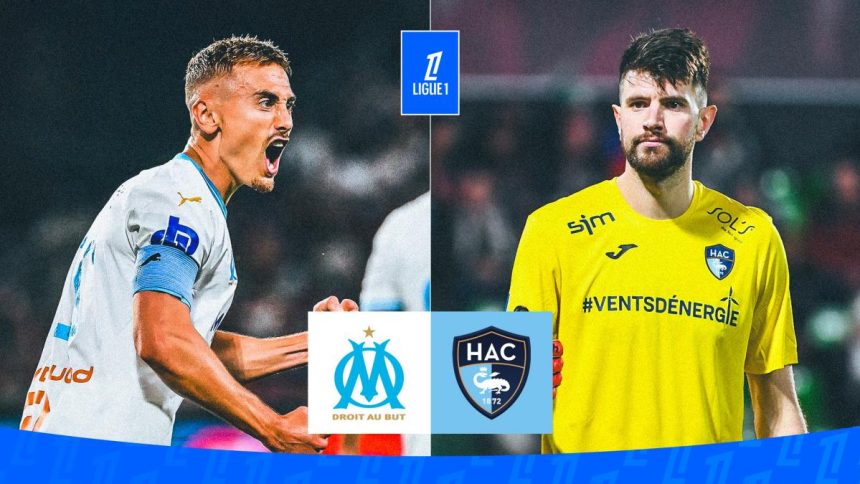 OM-HAC : les compositions probables