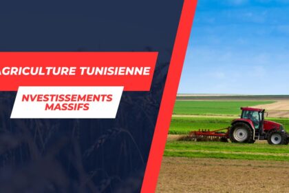 Boost majeur pour l’agriculture tunisienne : Plans ambitieux et millions de dinars en soutien