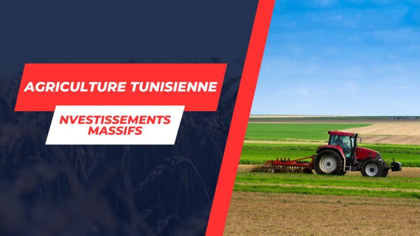 Boost majeur pour l’agriculture tunisienne : Plans ambitieux et millions de dinars en soutien