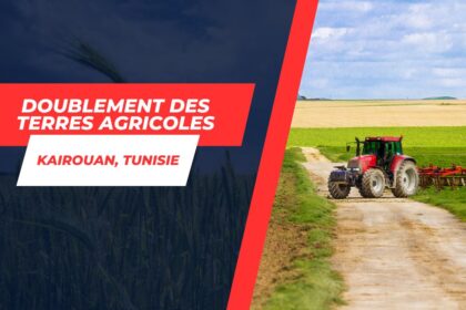 Doublement des terres agricoles à Kairouan Un bond spectaculaire dans les Grande Cultures pour 2023-2024