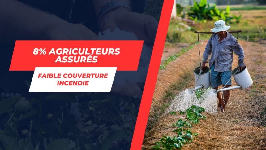 Urgence en Tunisie : Seulement 8% des agriculteurs assurés