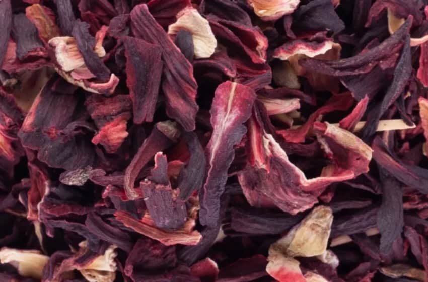 Nigeria : L’État de Jigawa lance une usine de transformation de l’hibiscus pour stimuler le secteur agricole