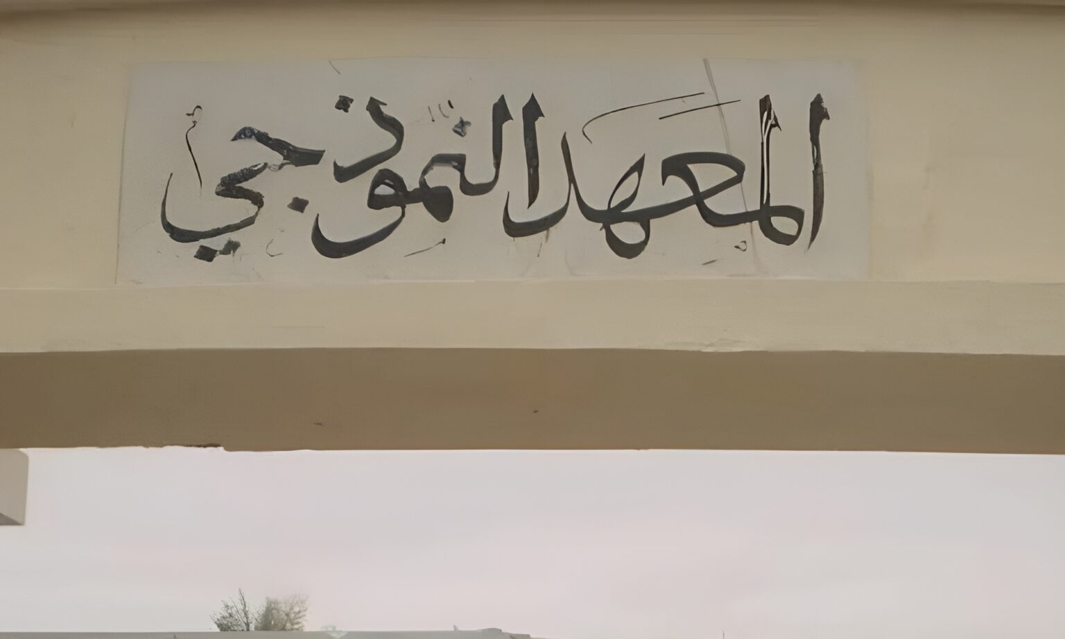 معهد نموذجي