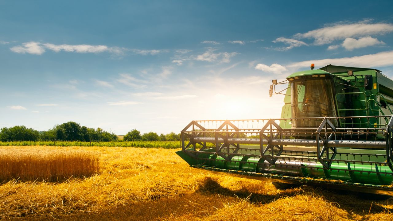 Béja 1,8 million de quintaux de céréales récoltés, soit 27,2% de la production nationale