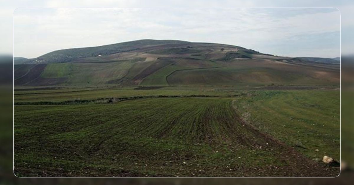 Récupération d'un Terrain Domanial Agricole de 11 Hectares à Manouba