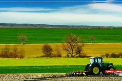 Béja : Retour du Salon régional de l'agriculture après une décennie d'absence