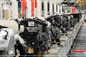 Composants Automobiles : 300 Millions de Dinars Investis à Bizerte pour 3000 Nouveaux Emplois