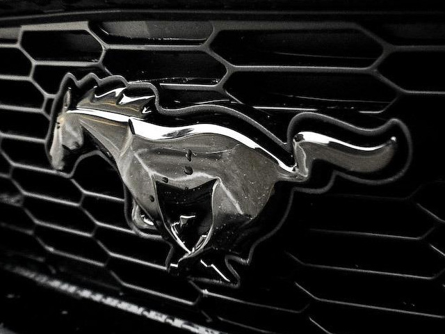 Logo Mustang