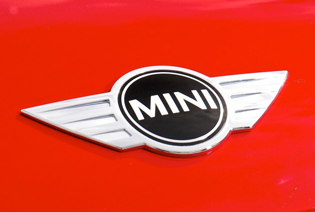 Mini Logo